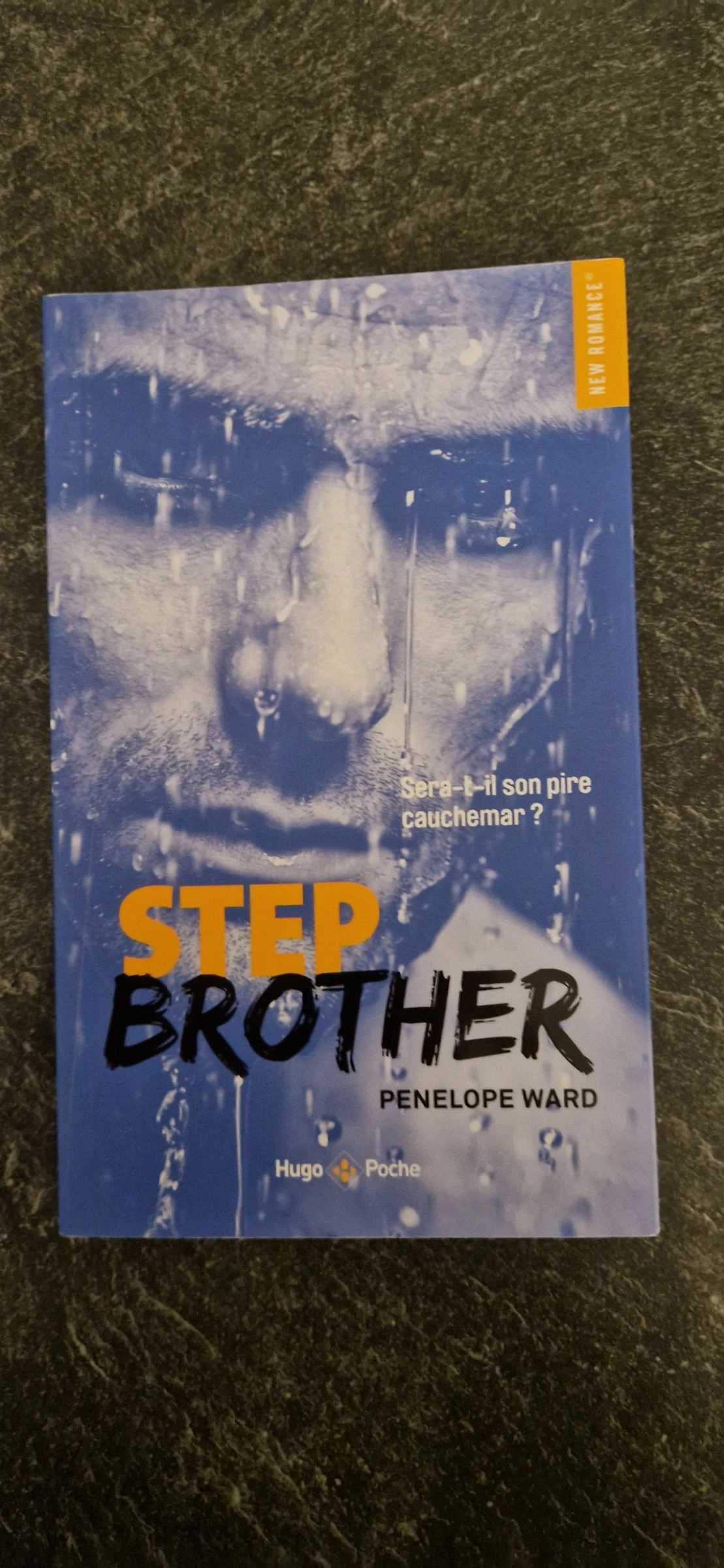 Livre step brother